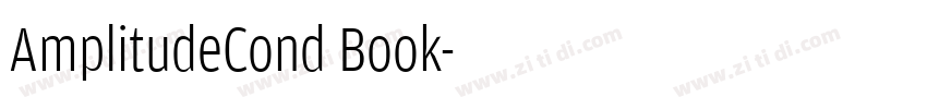 AmplitudeCond Book字体转换